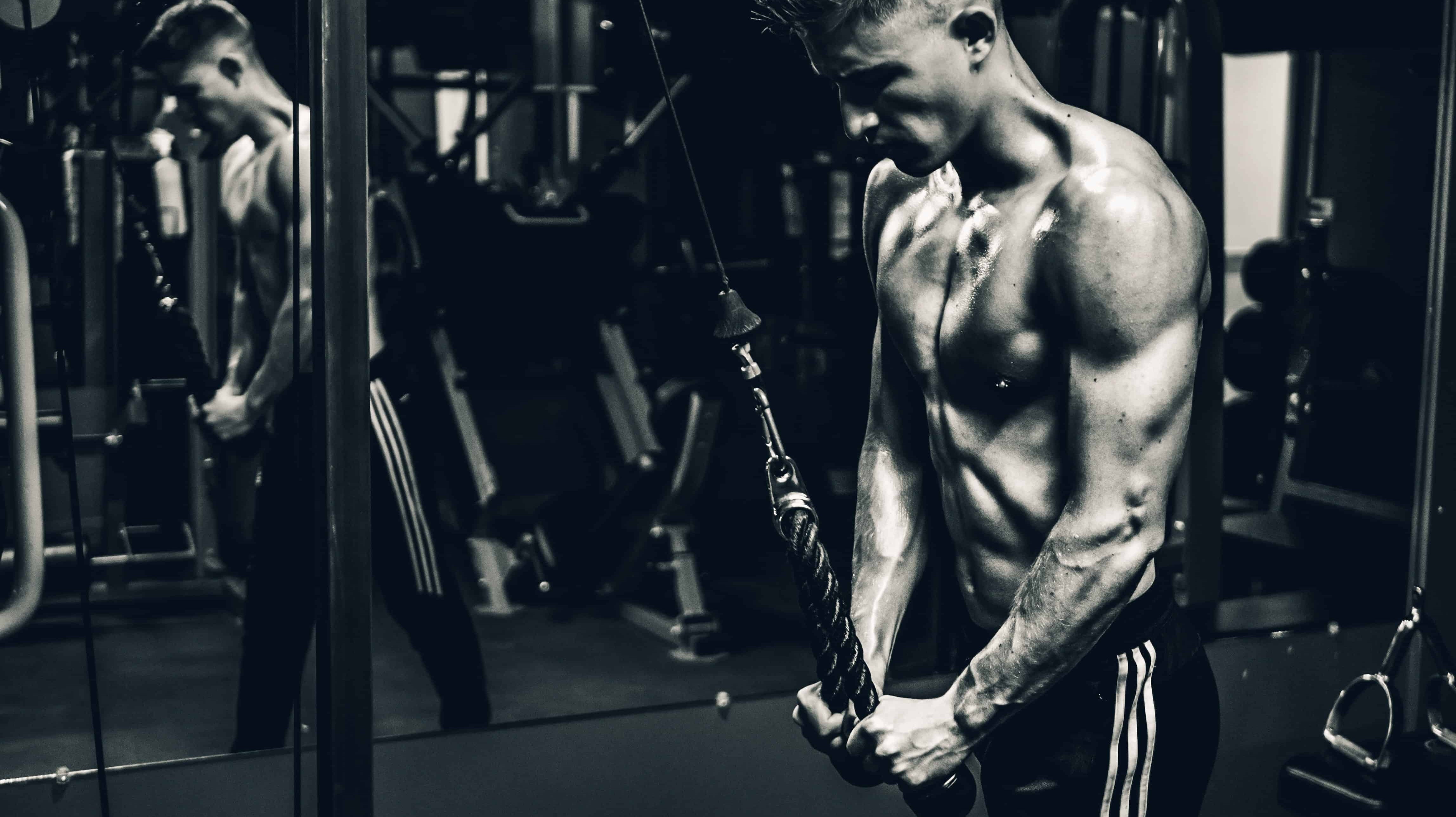 Top Tips for Hardgainers