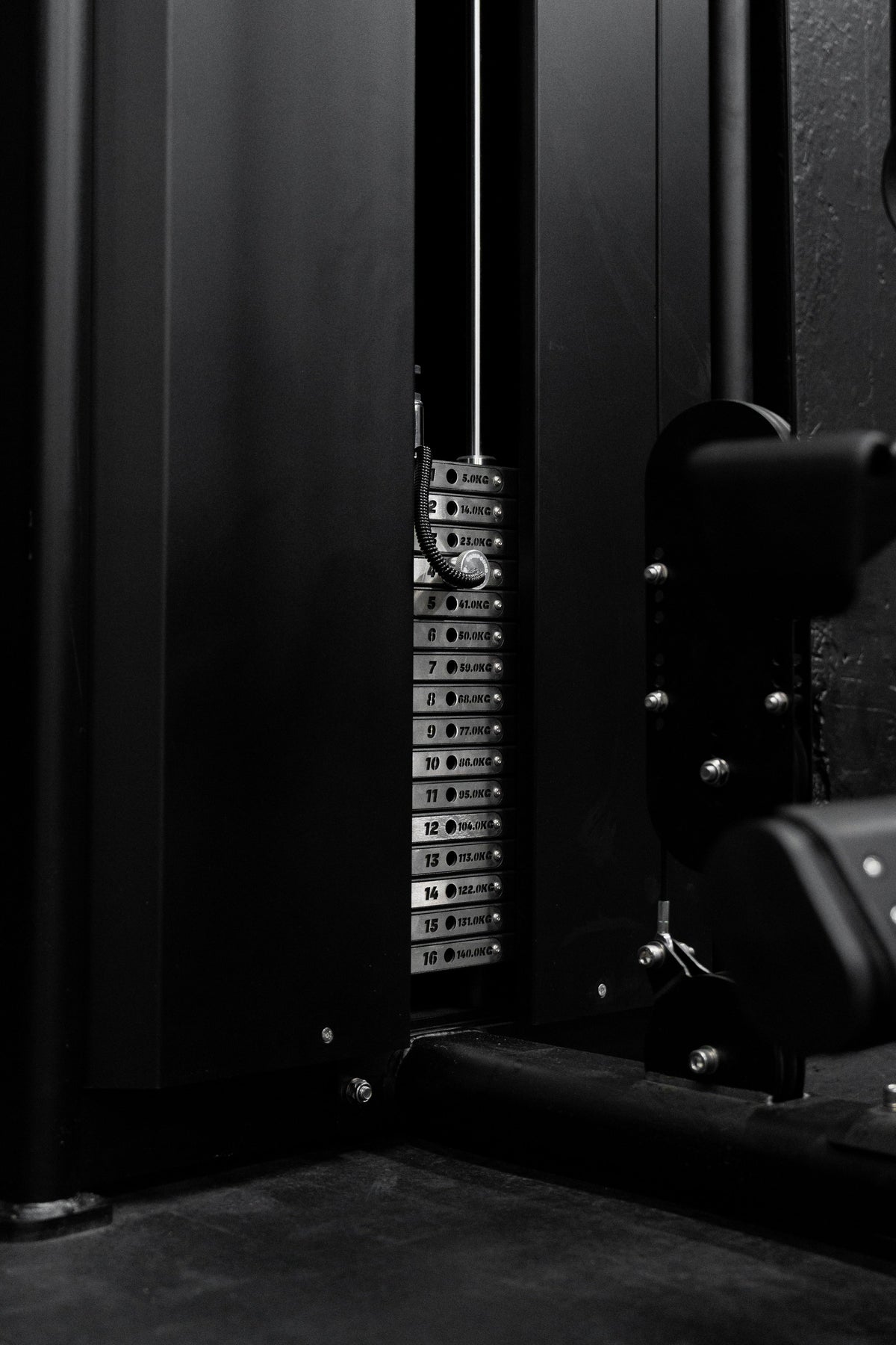 Lat Pulldown / Seated Row - Dynasty in commercial gym setting - Australian warranty
