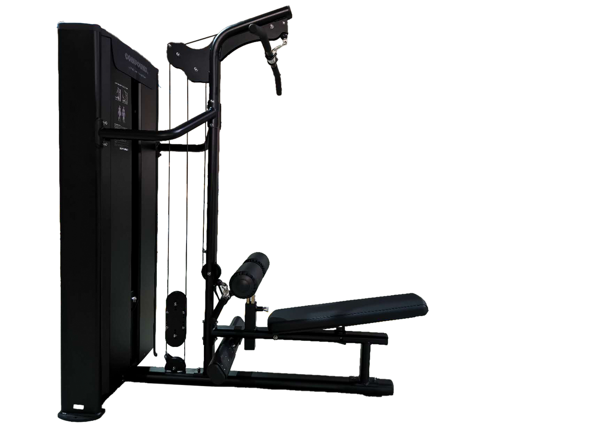 Lat Pulldown / Seated Row - Dynasty commercial gym equipment - image 11