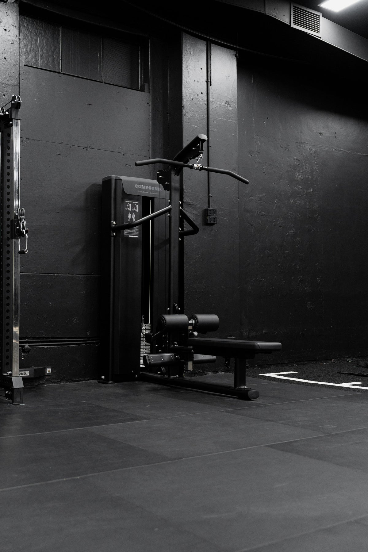Lat Pulldown / Seated Row - Dynasty showing precision weight stack and cable system