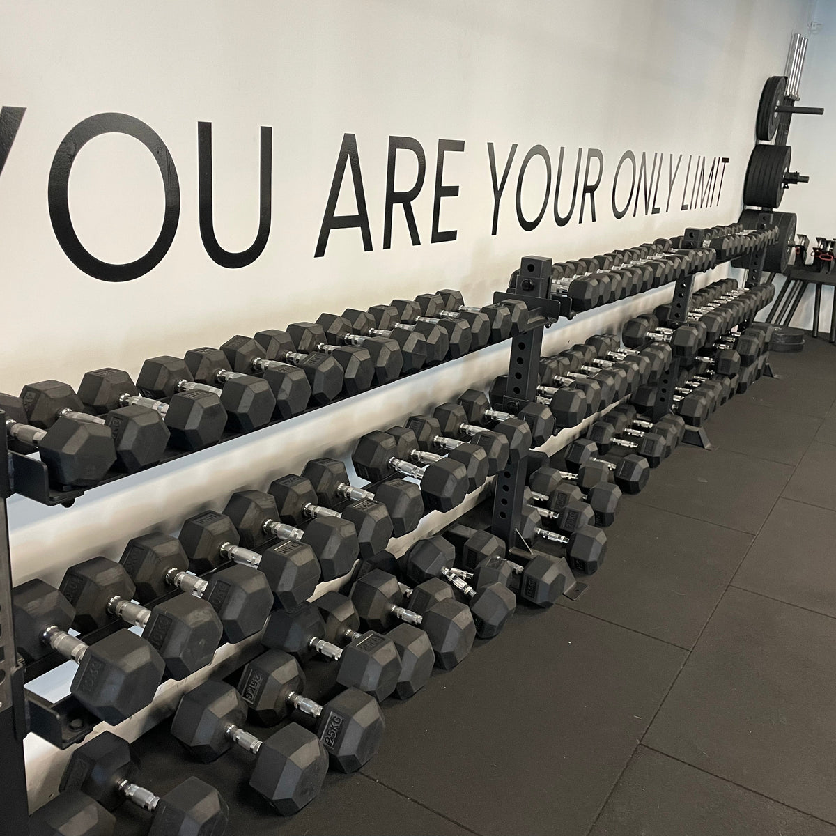 Modular Racking - Dumbbell - View 4 - Compound Fitness Equipment