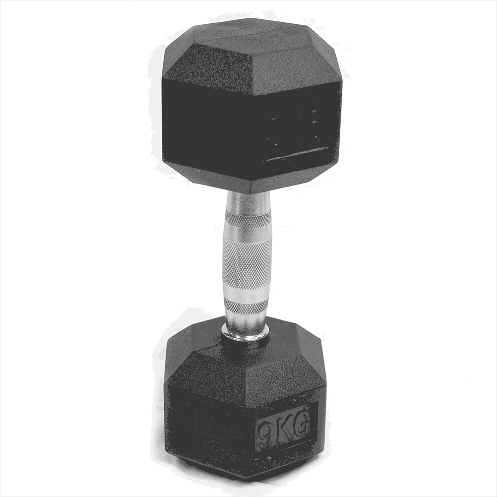 individual dumbbell weights