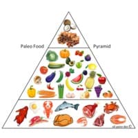 What is the Paleo Diet?
