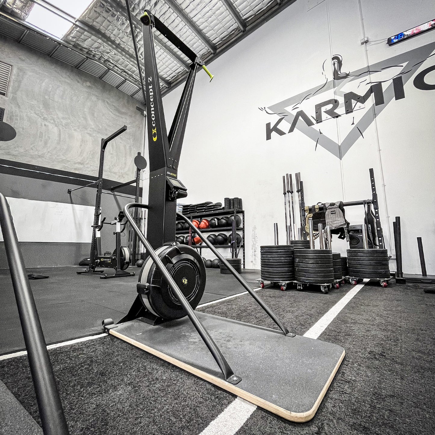 Concept 2 Ski Erg Only - No floor Stand