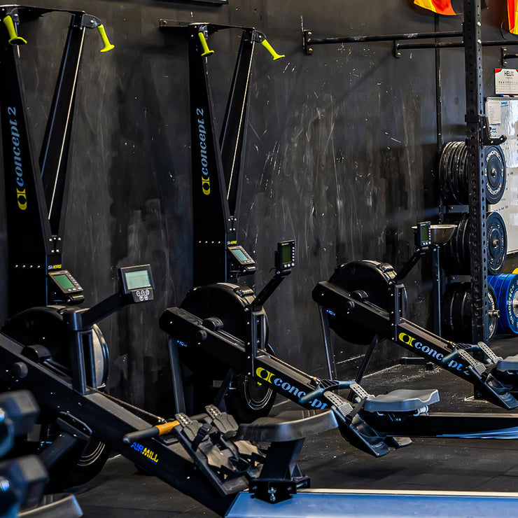 SkiErg - Shop SkiErgs for Low-Impact Full-Body Cardio