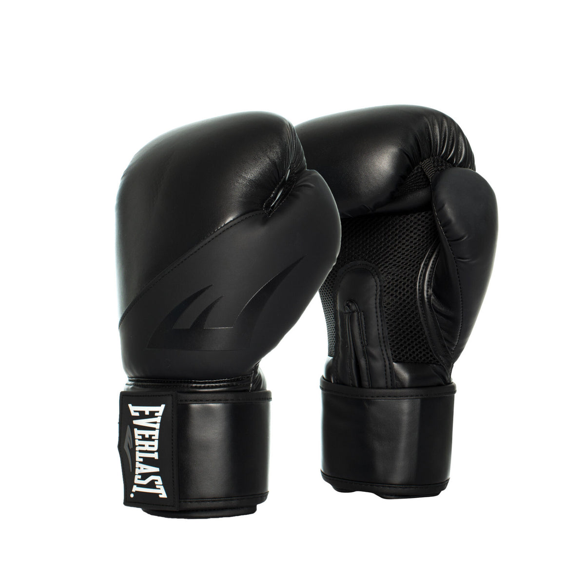 Everlast Ex Boxing Glove 16oz – Flex Fitness Equipment Au