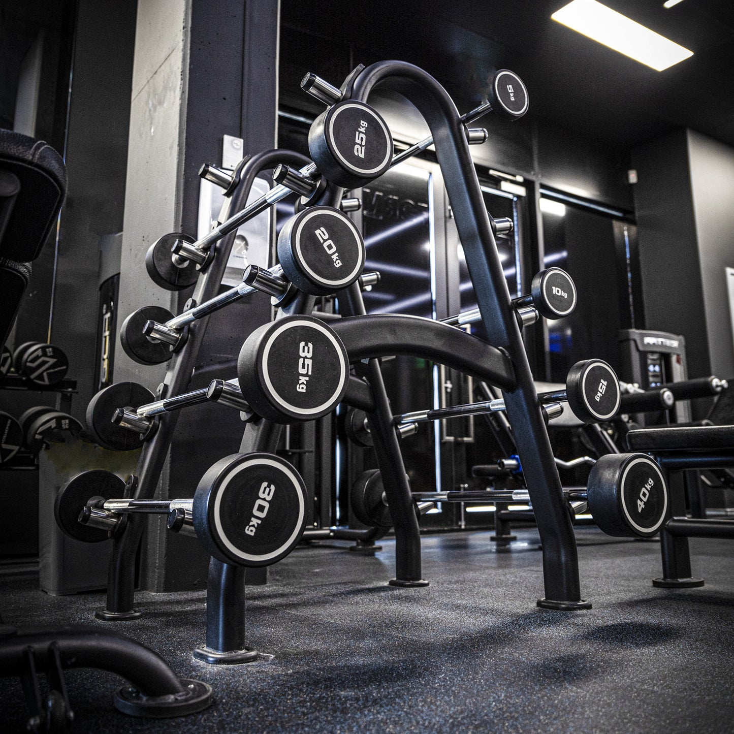 Fixed Barbell Storage Rack - Rack Only