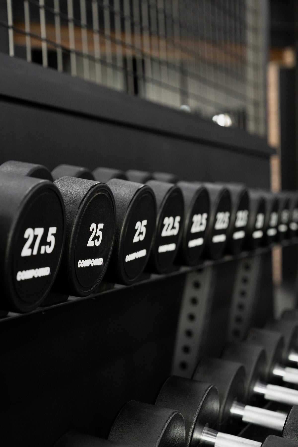 Commercial PU Round Dumbbells (PAIR) - Side View - Compound Fitness Equipment
