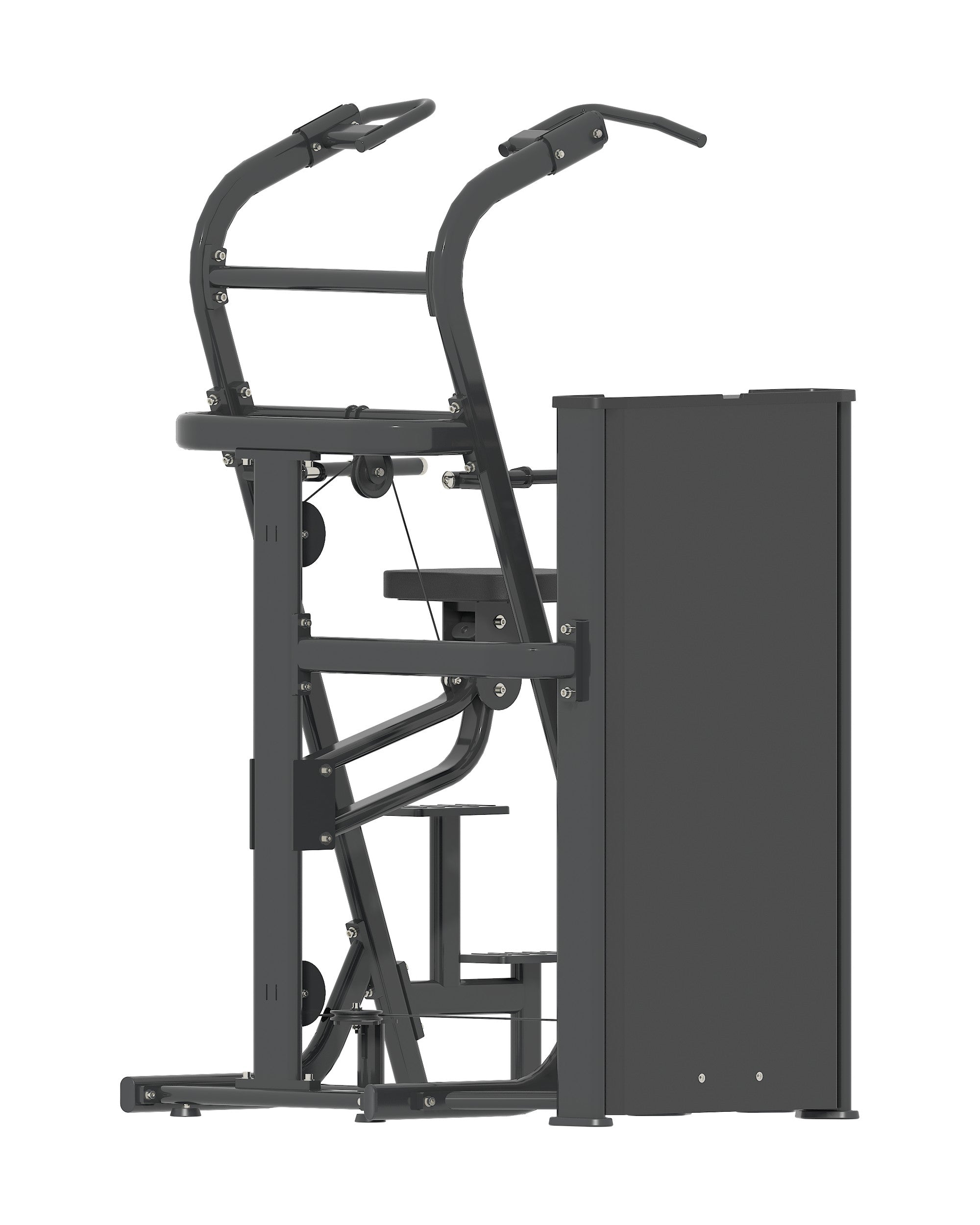 Assisted Chin-Dip Dynasty pin loaded machine, alternate angle 1