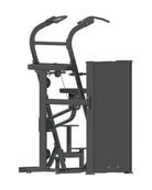 Assisted Chin-Dip Dynasty pin loaded machine, alternate angle 1