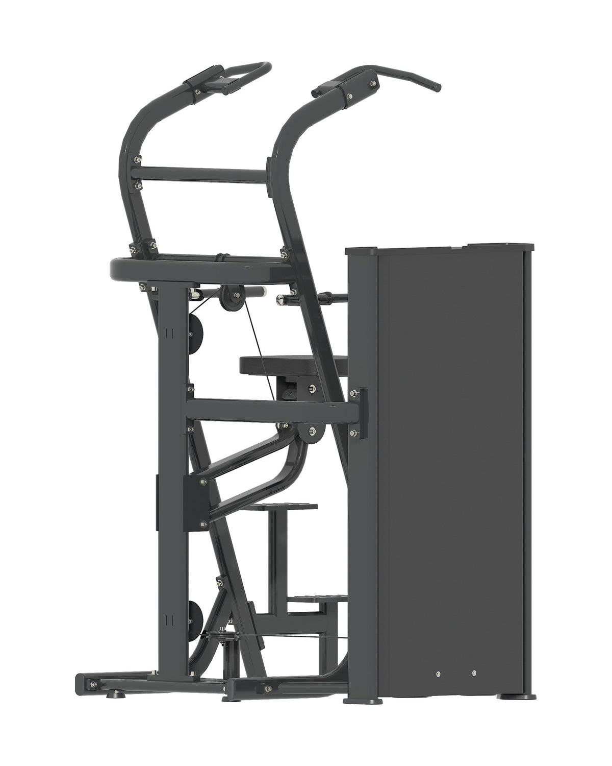 Assisted Chin-Dip Dynasty pin loaded machine, alternate angle 1