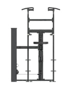Assisted Chin-Dip Dynasty pin loaded machine, alternate angle 2