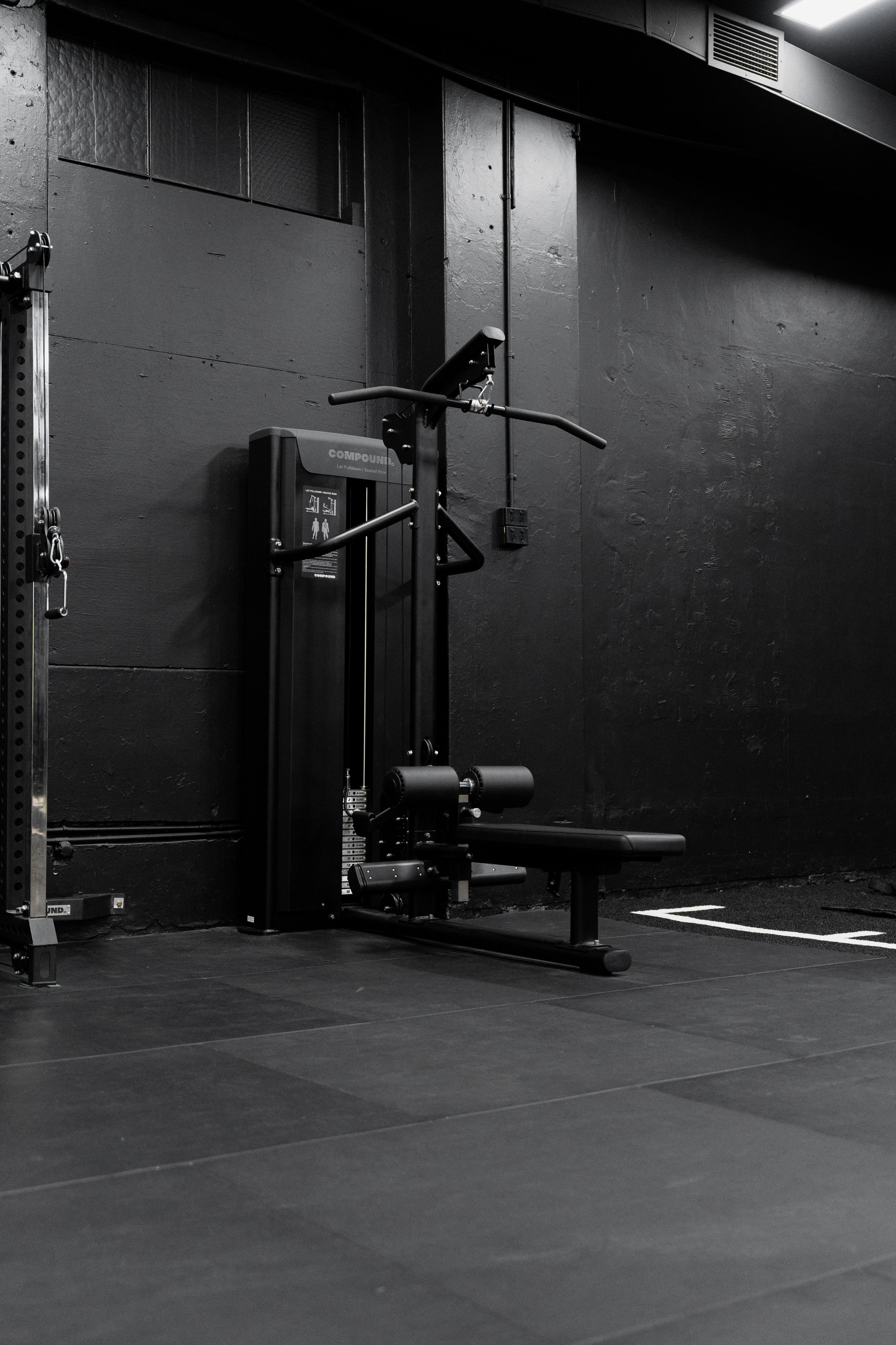Lat Pulldown / Seated Row - Dynasty showing precision weight stack and cable system