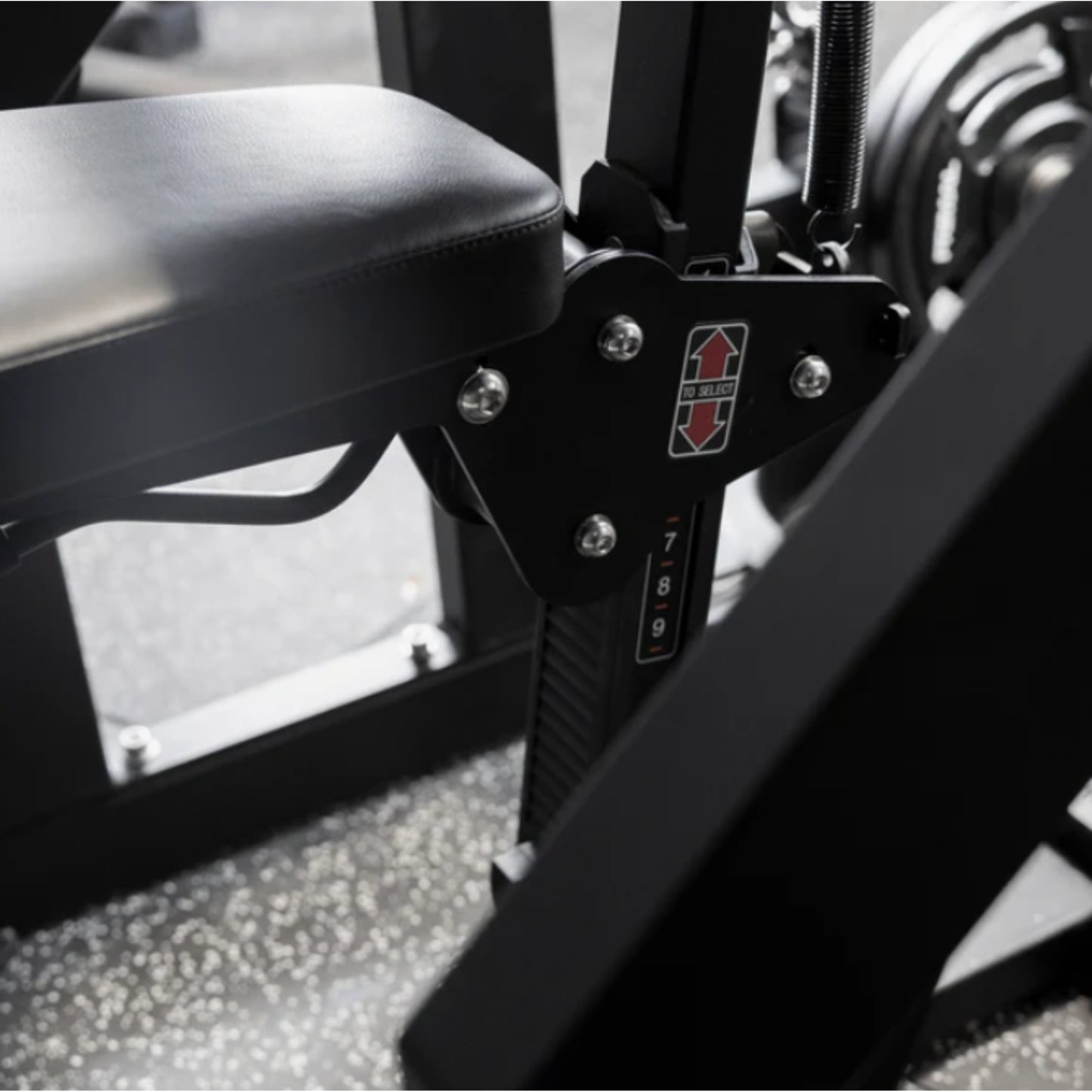 Primal Performance Series Plate Loaded Bicep Curl