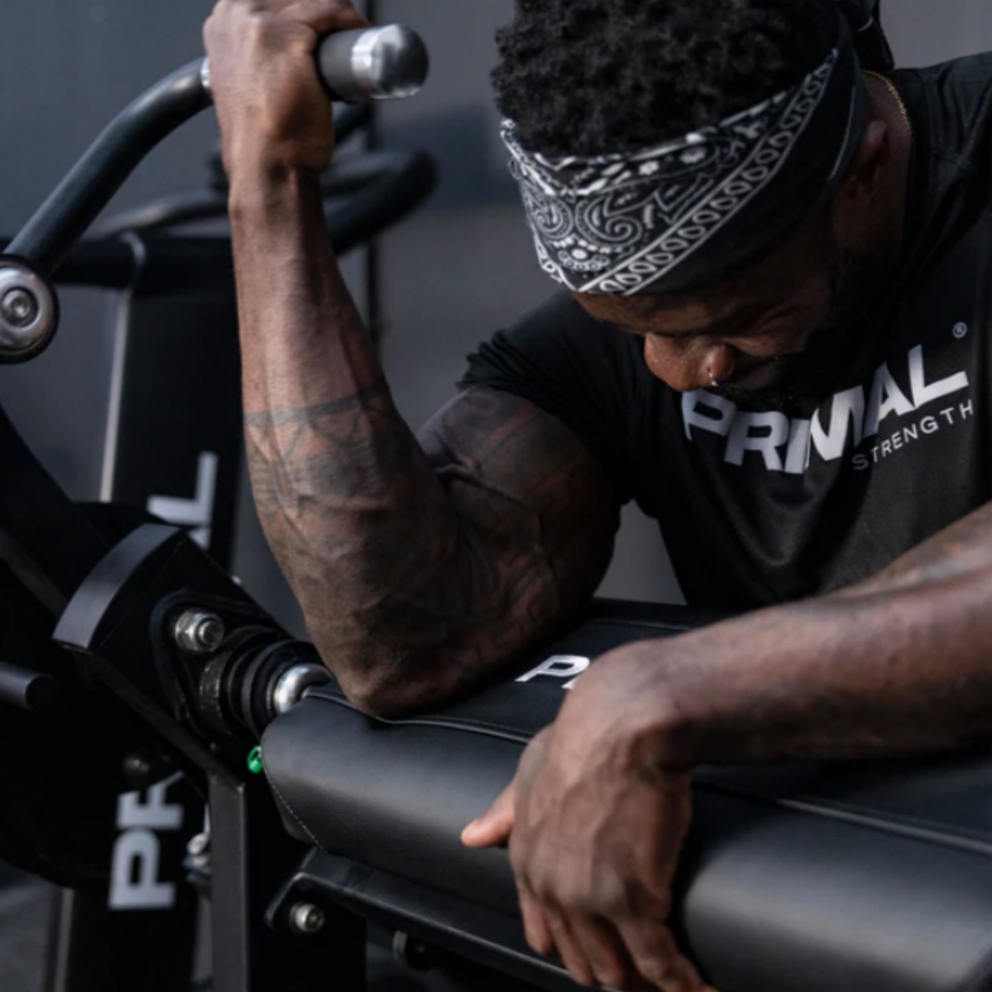 Primal Performance Series Plate Loaded Bicep Curl